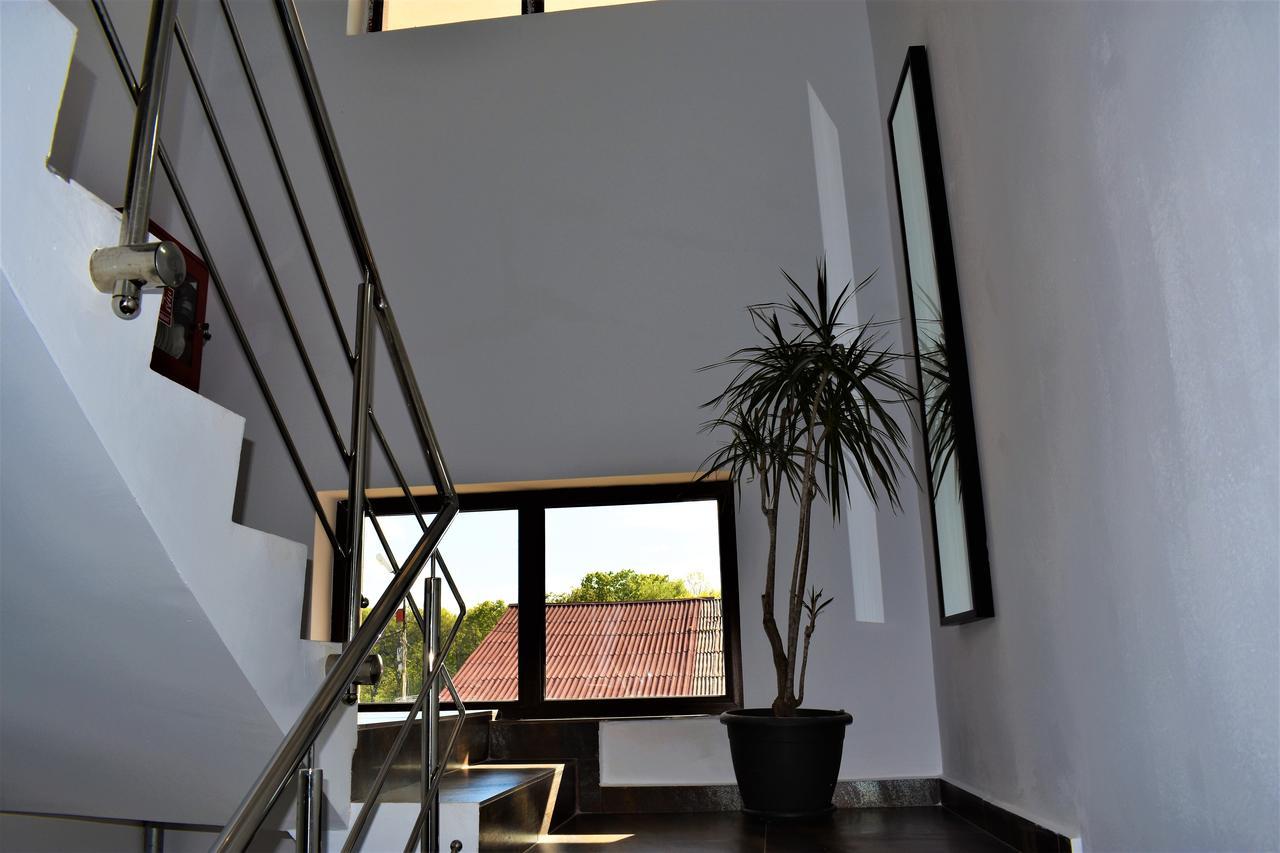 Pensiunea Alexandra Corbii Mari Exterior photo