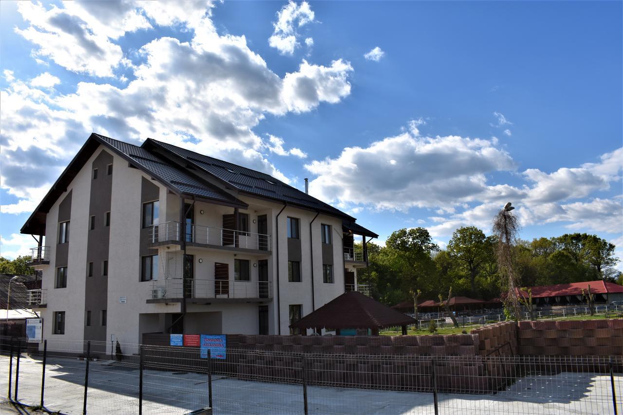 Pensiunea Alexandra Corbii Mari Exterior photo